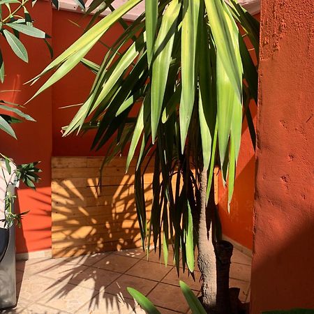 Villa Coyoacan Mexico by Eksteriør bilde