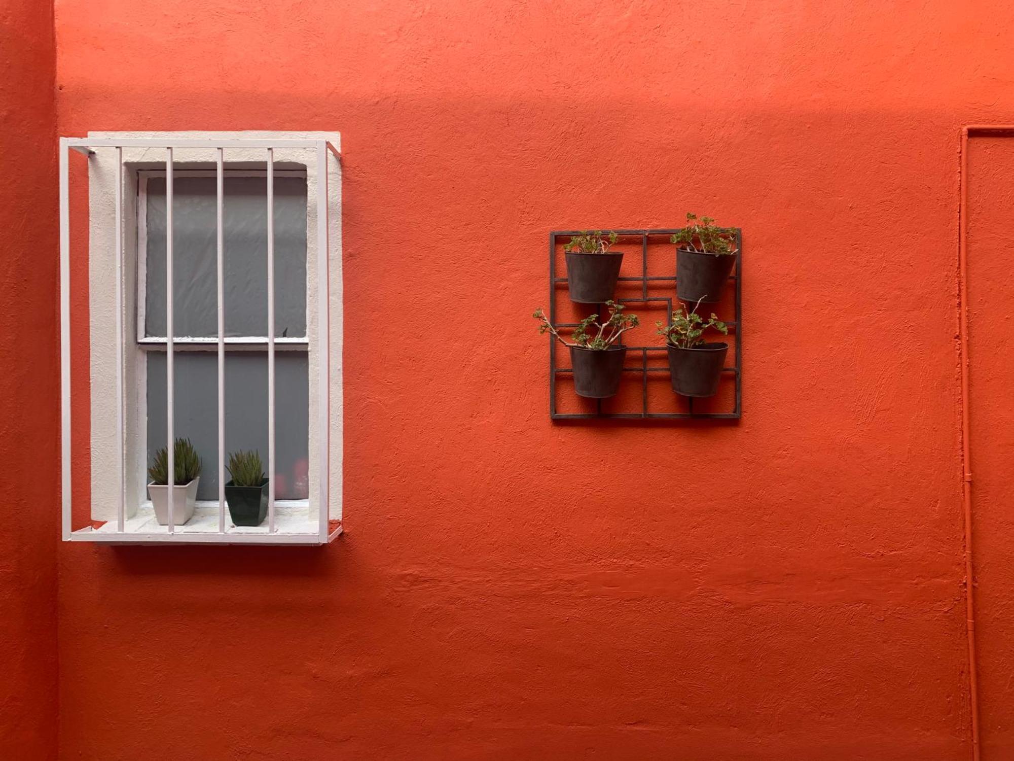 Villa Coyoacan Mexico by Eksteriør bilde
