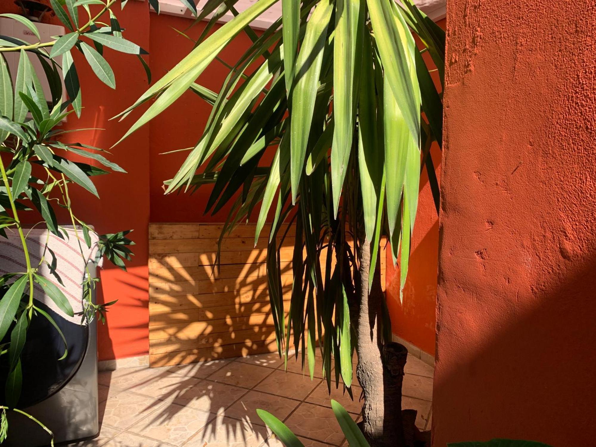 Villa Coyoacan Mexico by Eksteriør bilde