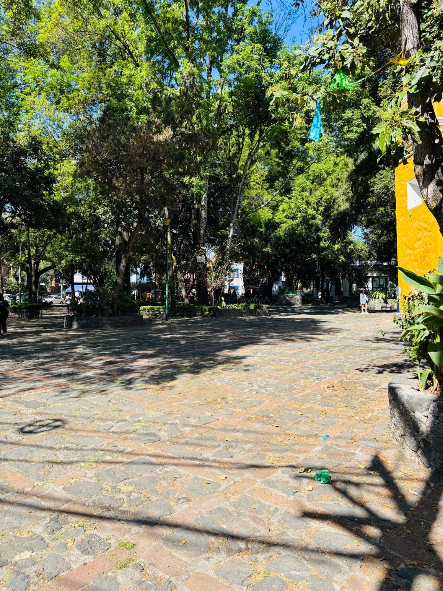 Villa Coyoacan Mexico by Eksteriør bilde